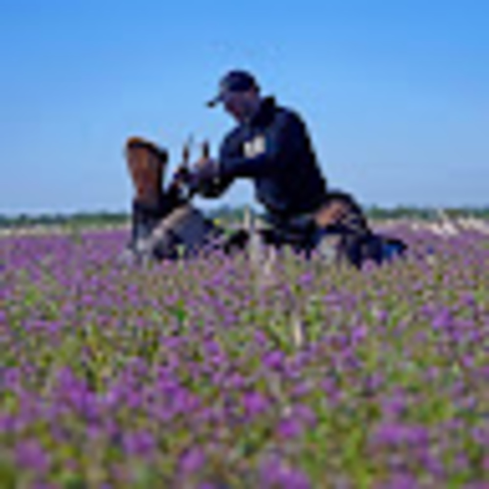 Meet your Posher, Charlie